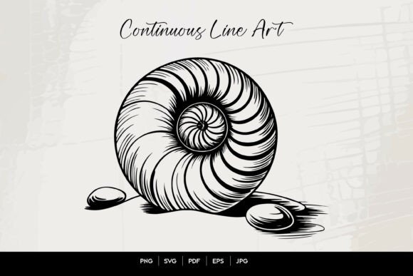 Download Nautilus Shell Line Art Illustration - Art Collection